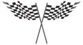 Black and White Checkered Flags Illustration