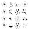 Black and white Cherry blossom Sakura icon set isolated on white background Royalty Free Stock Photo