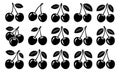 Black and white cherry vector set with multiple fruit arrangements Royalty Free Stock Photo