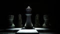black and white chess pawns lined up neatly Royalty Free Stock Photo