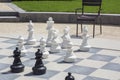 Black and white chessmen on the street chessboard