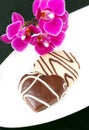 Black and white chocolate candies with orchid Royalty Free Stock Photo