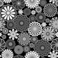 Black and white circle daisy flowers natural seamless pattern, vector