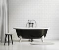 Black and white classic bathtub Royalty Free Stock Photo