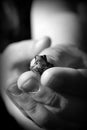 Frog in boys hand (black and white) Royalty Free Stock Photo