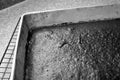 Black and white, closeup of chocolate cake in pan