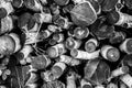 Black and white closeup of logs Royalty Free Stock Photo