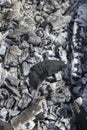 Black and white coals Royalty Free Stock Photo