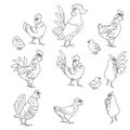 Black and white cocks, poultry and chickens. Birds, linear, contour. Illustration can be used for coloring book and pictures for