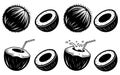 Black and white of coconuts with straws and juice splashing Royalty Free Stock Photo