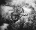 Black and White Collage: Wolf Head and the Misty Forest. Royalty Free Stock Photo