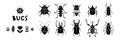 Black and white collection of retro bugs and florals. Vector illustration set of beetles in vintage style 1960s. Royalty Free Stock Photo