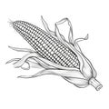 Black and White coloring book, corn cob in a leaf. Corn as a dish of thanksgiving for the harvest, picture on a white isolated