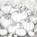 Black, White coloring book. A dozen pumpkins and leaves. Pumpkin as a dish of thanksgiving for the harvest, picture on a white
