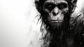 Black And White Concept Art Of A Chimpanzee: 32k Uhd Bad Painting