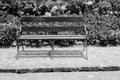 Black and white concept, Metal benches placed in the park, metal garden chairs on the floor. Royalty Free Stock Photo