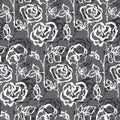 Black and white concept rose flower Royalty Free Stock Photo