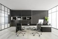 Black and white consulting room with furniture and windows