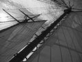 Black and white, cool tallship under sail Royalty Free Stock Photo