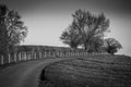 Black and white coountryside scene