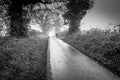 Black and white coountryside scene of a road