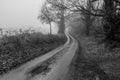 Black and white coountryside scene of a road