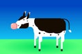 Black and white cow on a grassfield Royalty Free Stock Photo