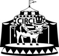 black and white A cow is standing on a stage in front of a circus tent Royalty Free Stock Photo