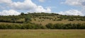 Black and white cows in the distance in the English countryside at Farmoor in Oxfordshire in the UK Royalty Free Stock Photo