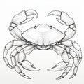 Black And White Crab Illustration On White Background