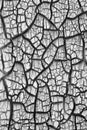 Black and white crack Royalty Free Stock Photo