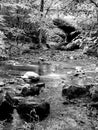 Black and white creek water tunnel