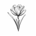 Detailed Black And White Crocus Flower Drawing In Persian Miniature Style