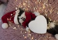 black and white cute kitten in a Santa hat and a red scarf sleeps on his back on a soft pillow Royalty Free Stock Photo