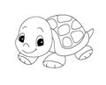 Black and white - cute turtle