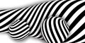 Black white 3d line distortion ball illusion Royalty Free Stock Photo