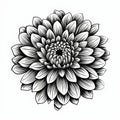 Black And White Dahlia Flower Illustration: Meticulously Detailed Linear Design