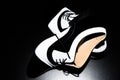 Black and white dancing shoes Royalty Free Stock Photo