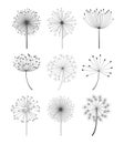 Black and White Dandelions Set Vector Illustration Royalty Free Stock Photo