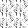 Black and white dead birch or aspen trees in winter seamless pattern, vector