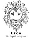 Black and white decorative hand drawn lion