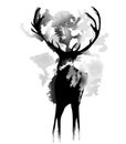 Black and white deer drawn