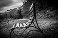 Black and white detailed curved iron and wooden bench