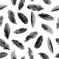 Black and white different feathers, seamless pattern, monochrome watercolor illustration Royalty Free Stock Photo