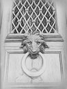 Black and white digital drawing of a lion& x27;s head knocker on a wooden door Royalty Free Stock Photo