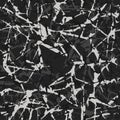 Black and white dirty seamless camouflage. Camo military grunge dry brush crack pattern. Vector