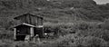 Black and white dog and its wooden house