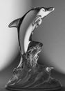 Black and White Dolphin Glass Statue