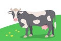 Black white domestic cow grazing on green pasture Flat cartoon illustration Royalty Free Stock Photo