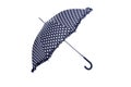 Black and white dotted umbrella